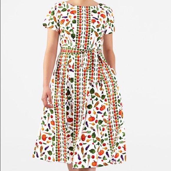 eshakti Dresses & Skirts - Eshakti vegetable print dress .